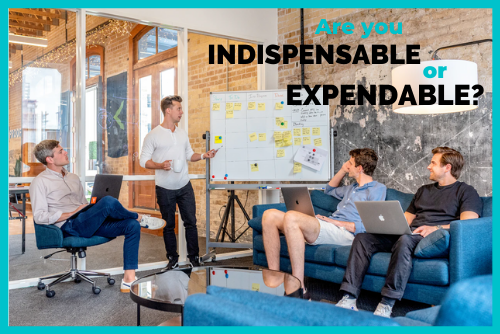 Are you Indispensable or Expendable?